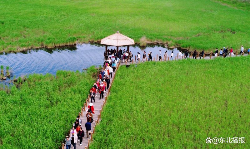 襄阳旅游：千年文化与现代魅力并存的城市之花